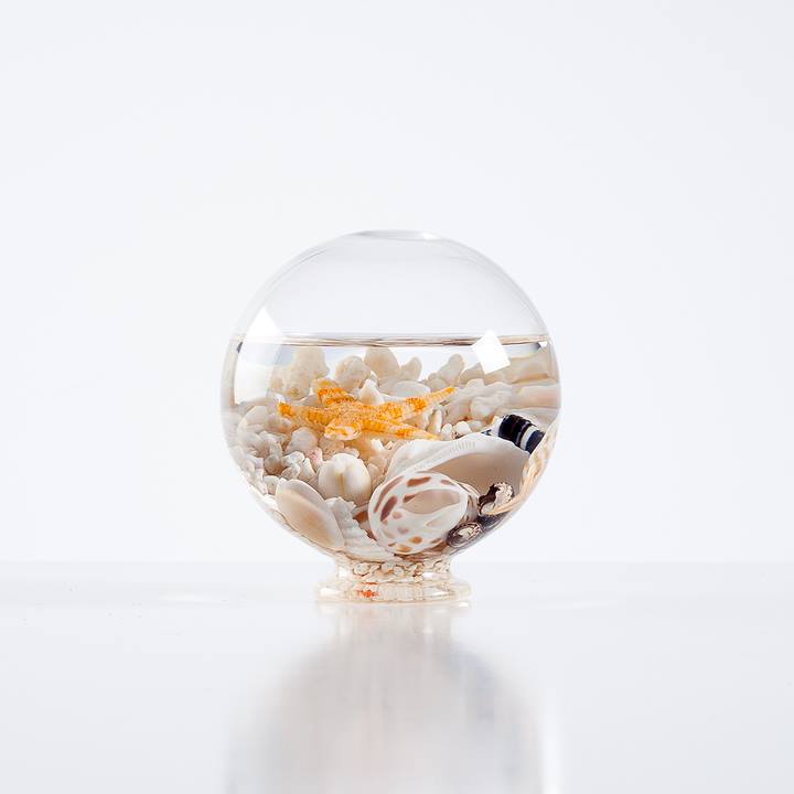 Aquatic Life Glass Decor Ball - Small-Accessories-Torre & Tagus-Putti Fine Furnishings