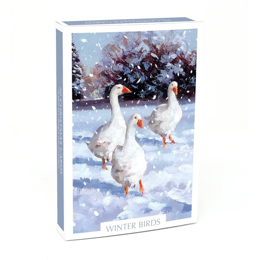 Museums & Galleries - Winter Birds Boxed Christmas Cards | Putti 