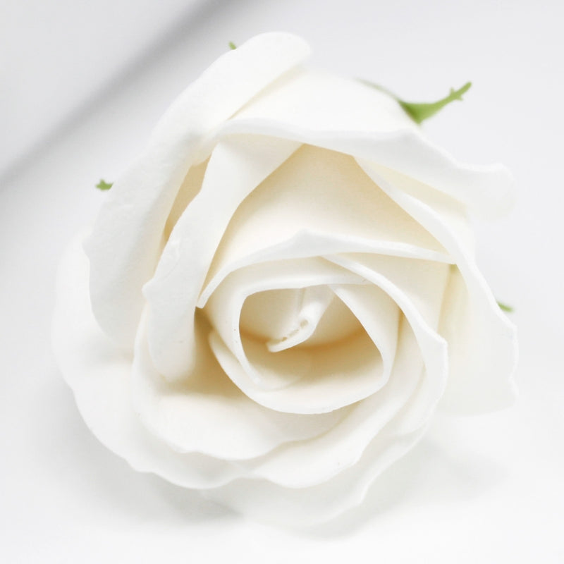 White Soap Petal Rose