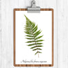 Lady Fern Botanical Print