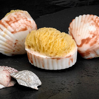 Clam Shell Soap with Natural Sea Sponge - Island Citrus | Putti