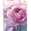 Glittered Pink Peony Greeting Card