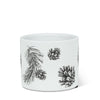 Pinecone & Branch Planter - Extra Small | Putti Christmas