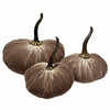 Small Velvet Pumpkin -Taupe | Putti Fine Furnishings Canada