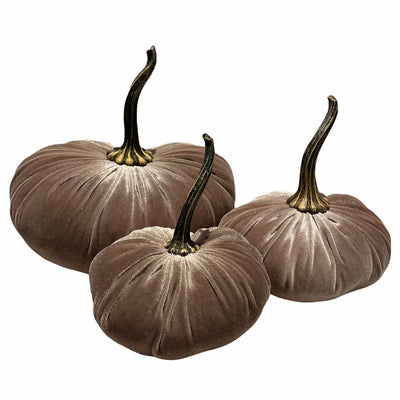 Small Velvet Pumpkin -Taupe | Putti Fine Furnishings Canada