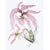 Seaweed Artist - Seaweed Art Greeting Cards Design #6