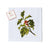 Botanical Christmas Holly Fabric Napkin | Putti Celebrations Canada 