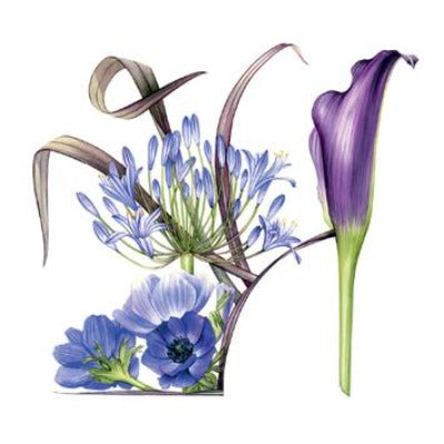 "Blue Floral Shoe" Greeting Card  | Putti Fine Furnishings 