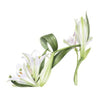 "White Lilies Shoe" Greeting Card