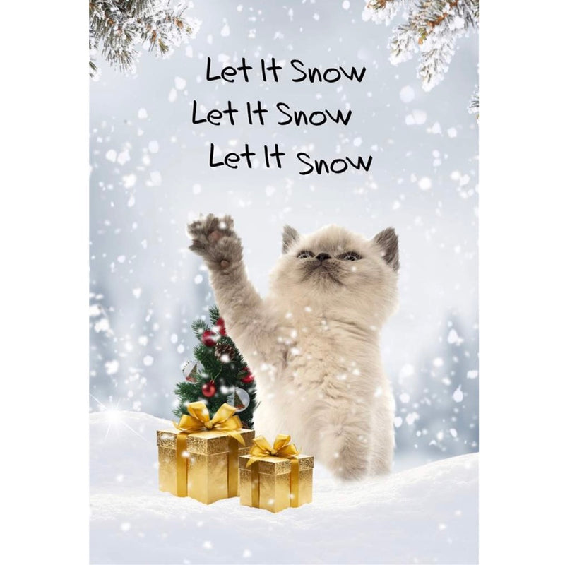 Nobleworks "Let it Snow" Cat Greeting Card | Putti Celebrations 