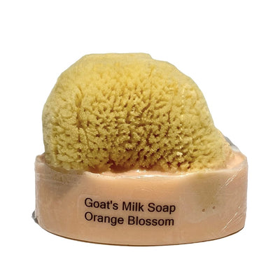 Goats Milk & Olive Oil Soaps with Sea Sponge - Orange Blossom