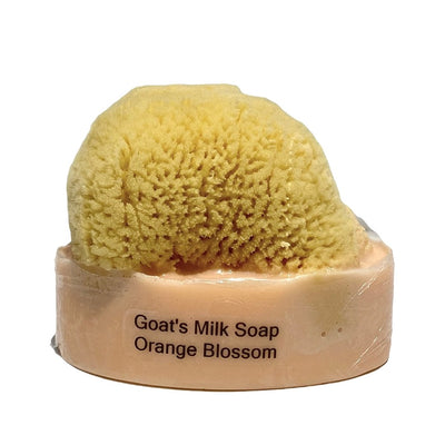 Goats Milk & Olive Oil Soaps with Sea Sponge - Orange Blossom