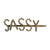 Diamante "Sassy" Hair Clip