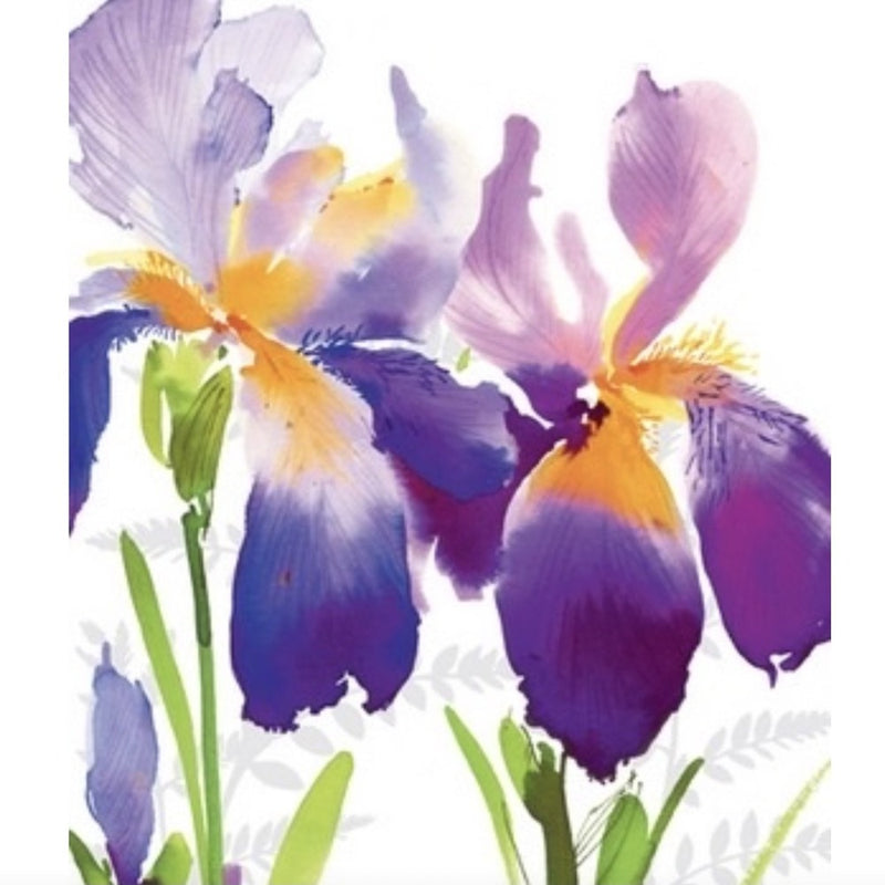 Iris Greeting Card | Putti Fine Furnishings 