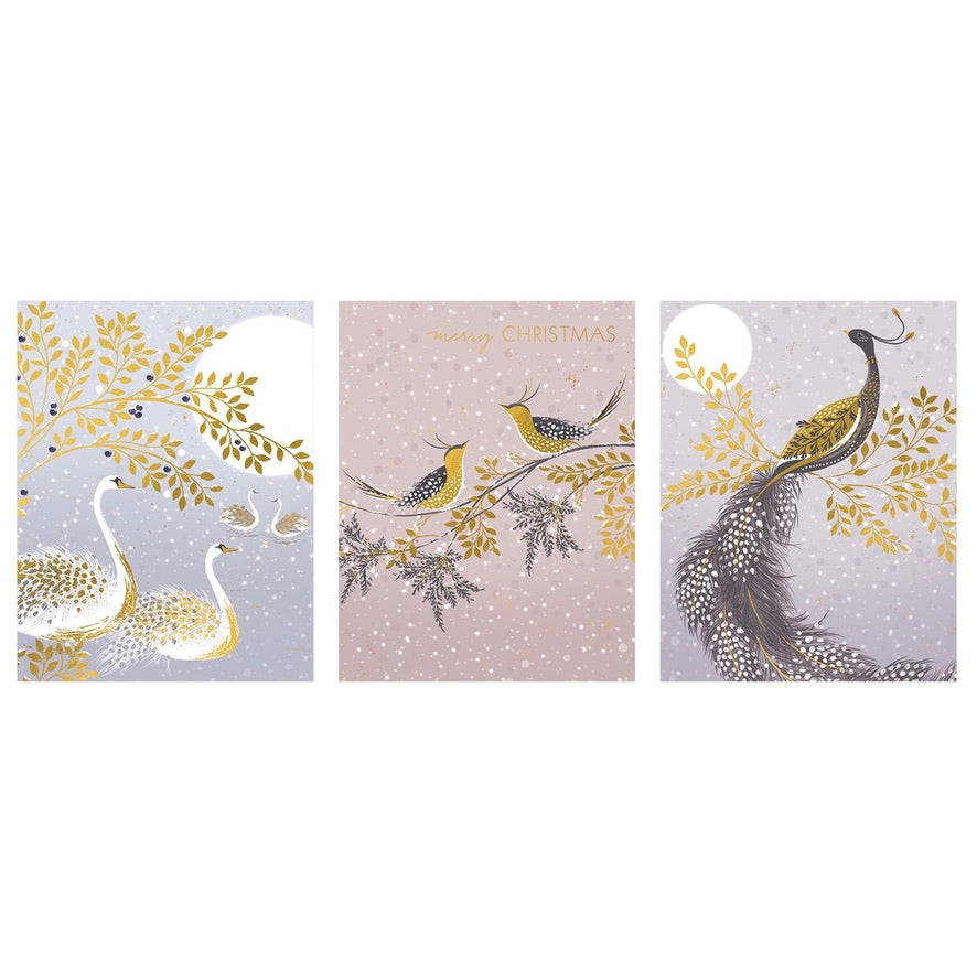The Art File Trio of Gilded Birds Boxed Greeting Cards | Putti Celebrations 