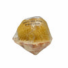 Conch Shell Soap with Natural Sea Sponge - Island Citrus | Putti