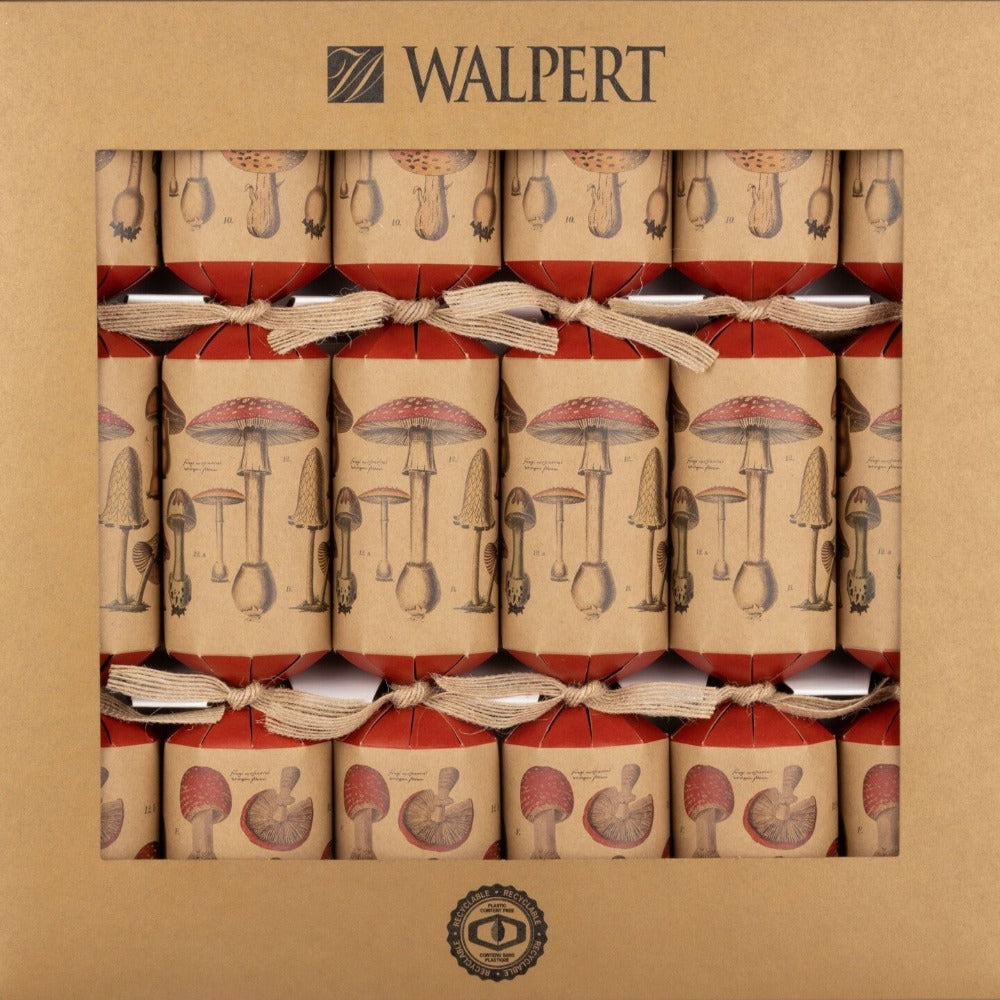 Walpert Toadstool Eco Crackers | Putti Christmas Canada 