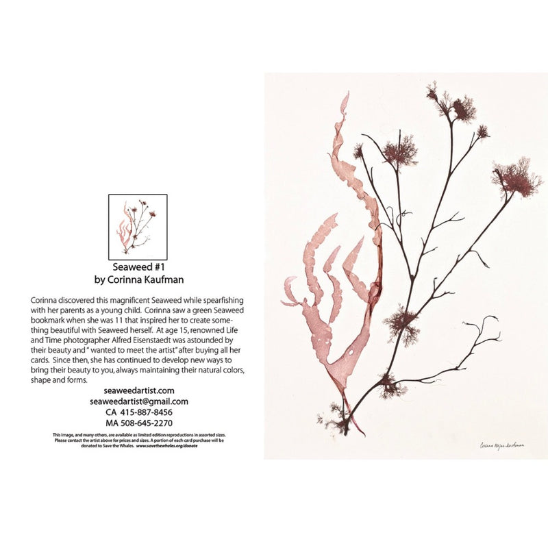 Seaweed Artist - Seaweed Art Greeting Cards Design #1
