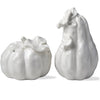 White Pumpkin and Gourd Salt and Pepper | Thanksgiving Putti Fine Furnishings