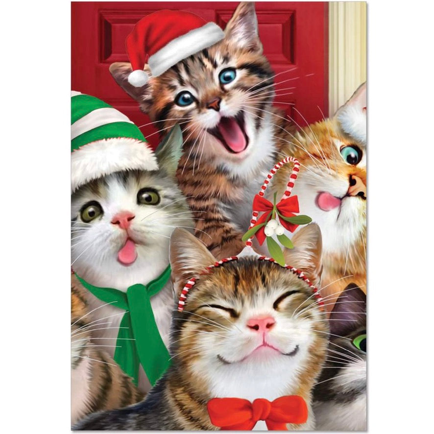 Santa Hats Cats Selfie Christmas Greeting Card