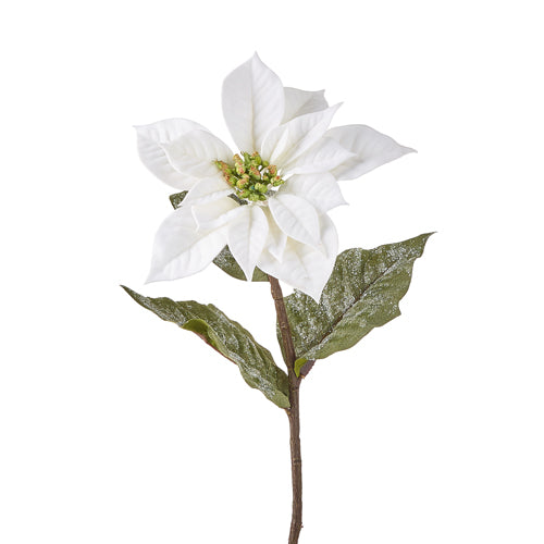 White Velvet Poinsettia Stem with Iced Leaves