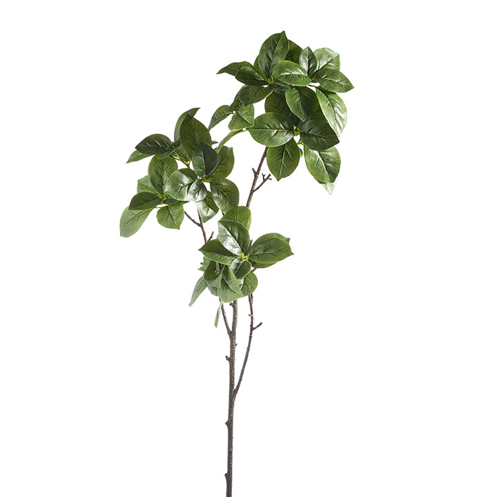 Leaf Branch | Putti Fine Furnishings 