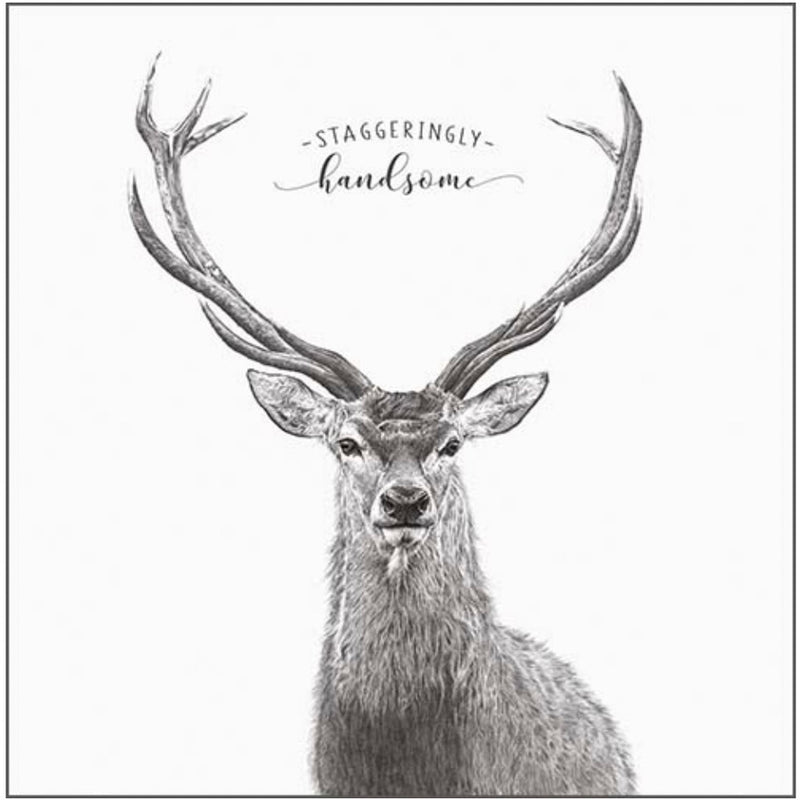 Staggeringly Handsome" Stag Greeting Card | Putti Celebrations