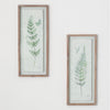 Fern Print with Wood Frame  | Putti Fine Furnishings Canada