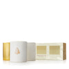 Thymes Frasier Gilded Trio Candle Set | Putti Fine Furnishings Canada