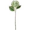 Sullivan's Blue Green Hydrangea Stem | Putti Fine Furnishings