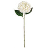 Cream Hydrangea Stem
