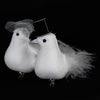 Mr & Mrs Feather Bird Couple