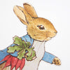 Meri Meri Peter Rabbit & Friends Egg Hunt Kit | Putti Party Supplies