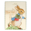 Meri Meri Peter Rabbit & Friends Egg Hunt Kit | Putti Party Supplies