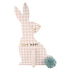 Meri Meri Gingham Bunnies Egg Hunt Kit