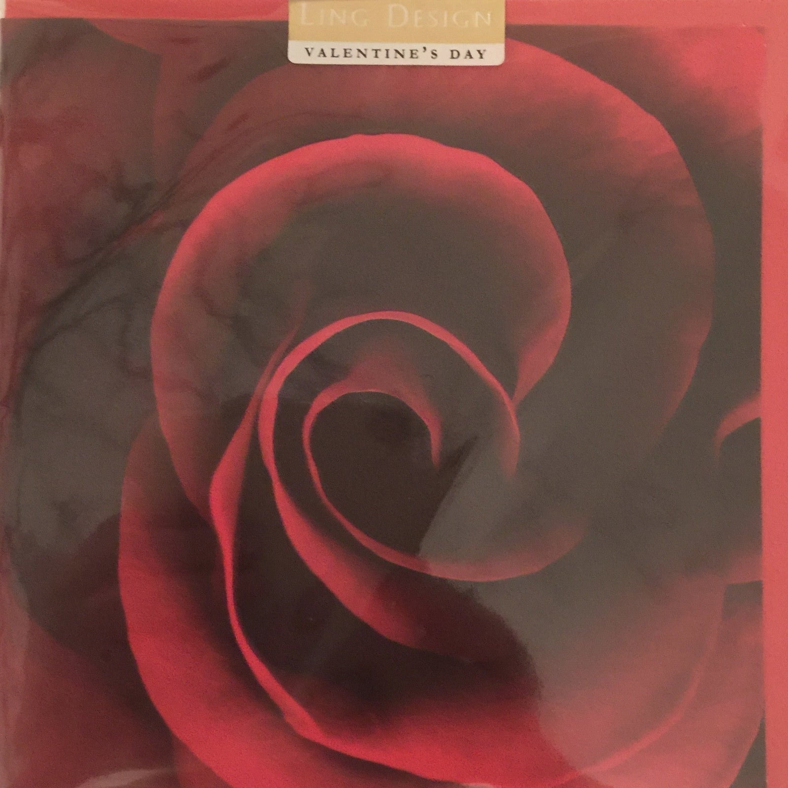  Red Rose Valentine Greeting Card, PEC-Paper E Clips, Putti Fine Furnishings