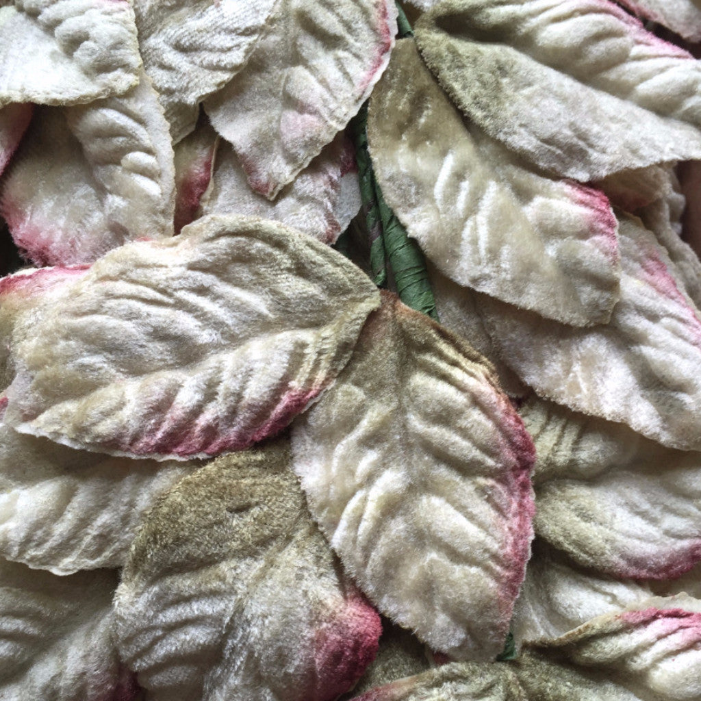  Miss Rose Sister Violet Velvet Leaf Sprays - Pale Ivory Green, MRSV-Miss Rose Sister Violet, Putti Fine Furnishings