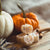 Pumpkin Patch Wax Melts 4pcs - Pumpkin Spice and All Things Nice