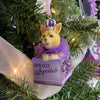Kurt Adler Royal Splendor Dog in Box Ornament | Putti Decorations