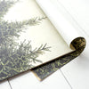 Hester & Cook Fir Tree Paper Placemats