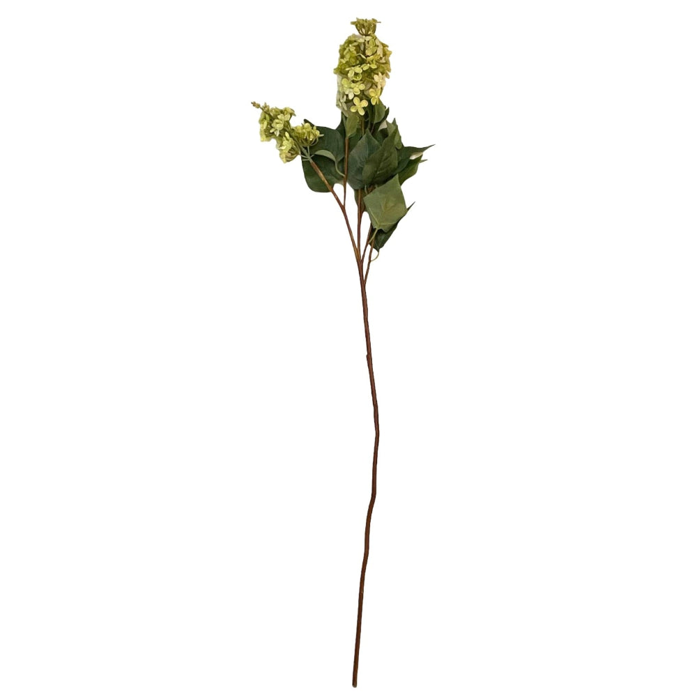 K & K Interiors Green Lilac Stem | Putti Fine Furnishings