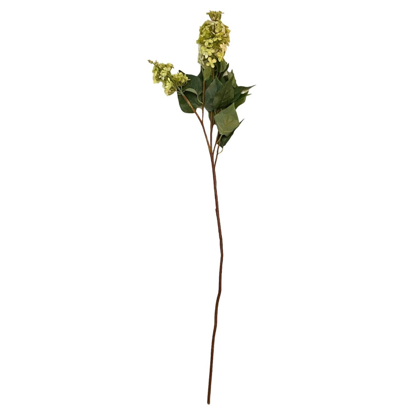 K & K Interiors Green Lilac Stem | Putti Fine Furnishings