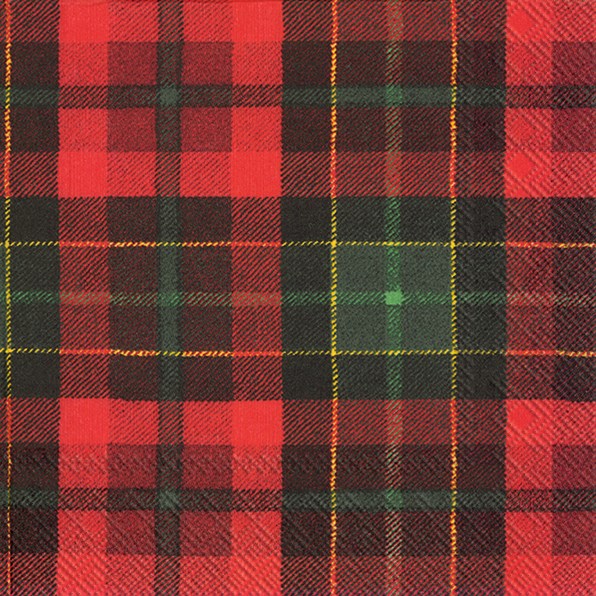 Tartan Paper Napkin - Lunch | Putti Fine Furnishings 