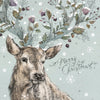 "Stag" Boxed Greeting Card | Putti Christmas Celebrations