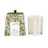 Lucia Laurel Leaf & Olive Soy Candle | Putti Fine Furnishings Canada