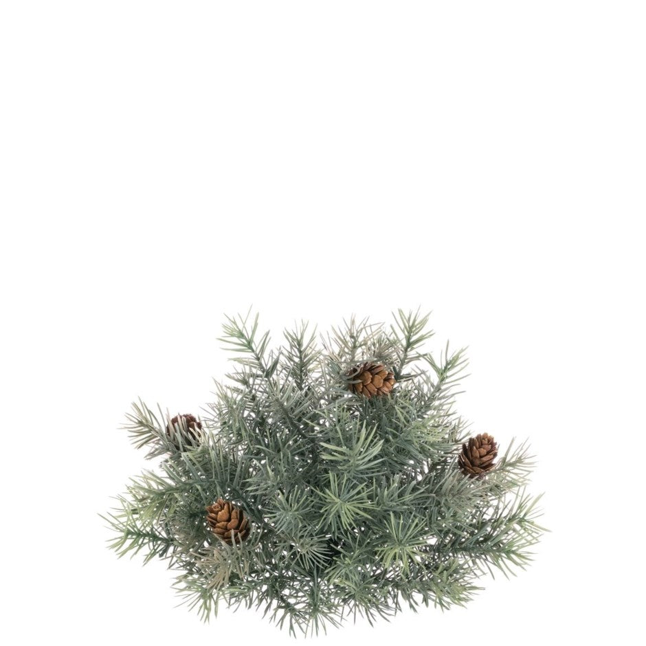 Sullivan's Angel Pine with Cones Half Orb | Putti Christmas Decoration