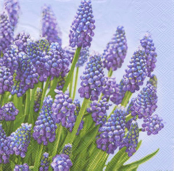 Purple Muscari Paper Napkins - Lunch | Putti Easter Spring 