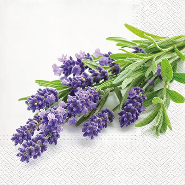 Lavender Bunch Paper Napkins - Lunch