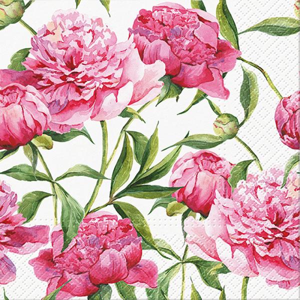 Pink Peonies Paper Napkins - Lunch | Putti Fine Furnishings 