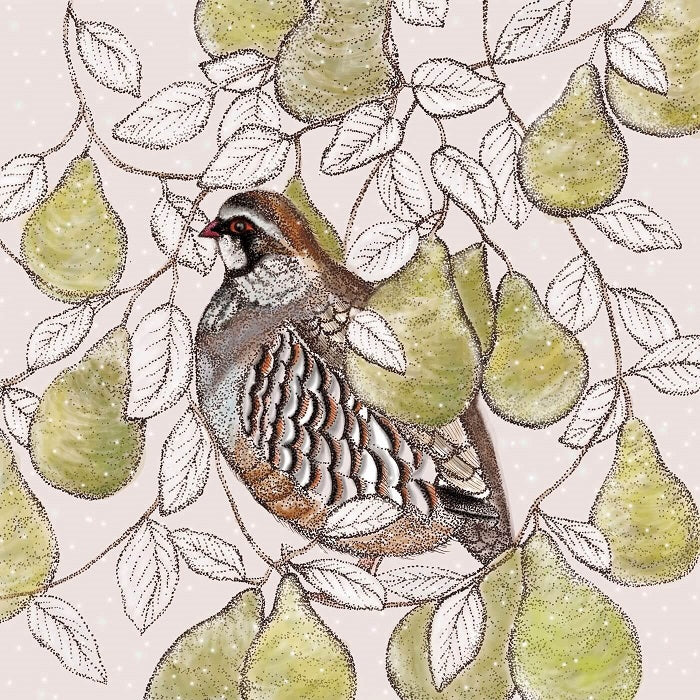 Fay's Studio Partridge in a Pear Tree Greeting Card | Putti Fine Furnishings 
